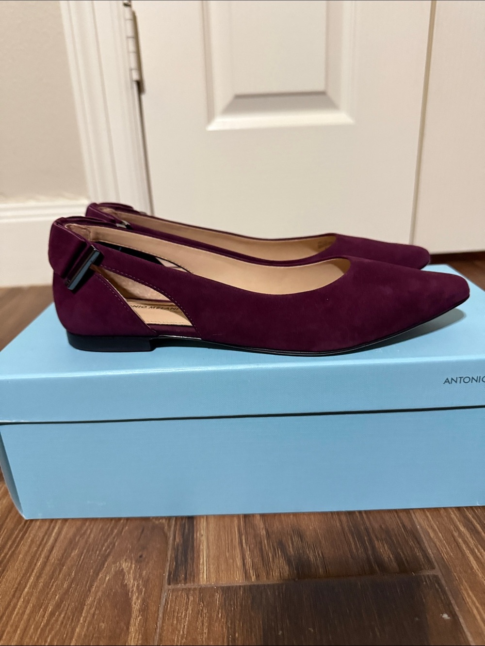 ANTONIO MELANI Plum Suede Pointed Slingback Flats - Picture 4 of 6
